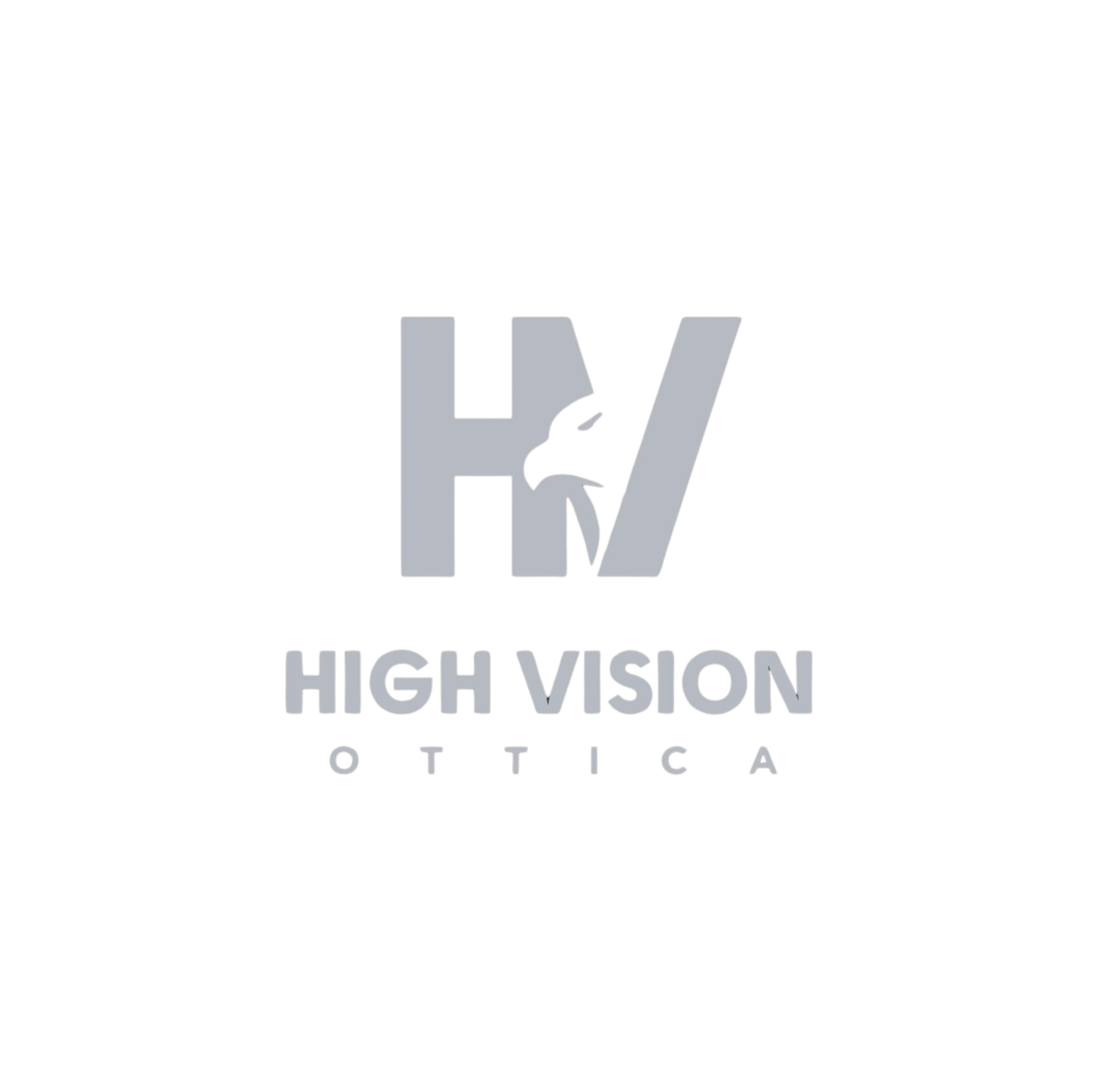 Logo High Vision Ottica Nardò